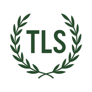 copilot 20250805 142543